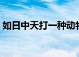 如日中天打一种动物（如日中天打一个生肖）