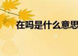 在吗是什么意思啊（在吗是什么意思）