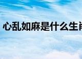 心乱如麻是什么生肖（心乱如麻是什么意思）