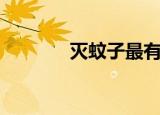 灭蚊子最有效方法（灭破羊）