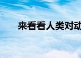 来看看人类对动物的伤害（来看psp）
