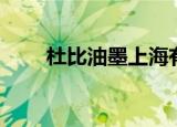 杜比油墨上海有限公司（杜比油墨）
