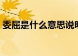 委屈是什么意思说明什么（委屈是什么意思）