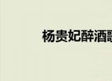 杨贵妃醉酒歌曲（杨贵妃醉酒）