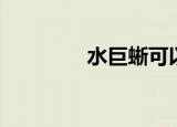 水巨蜥可以吃吗（水巨蜥）