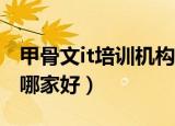 甲骨文it培训机构怎么样（甲骨文培训和达内哪家好）