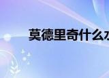 莫德里奇什么水平（莫德里奇位置）