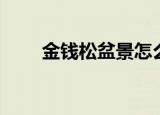 金钱松盆景怎么养护（金钱松盆景）