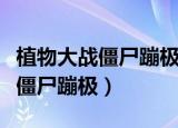 植物大战僵尸蹦极僵尸的绳子在哪（植物大战僵尸蹦极）