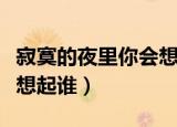 寂寞的夜里你会想起谁美文（寂寞的夜里你会想起谁）