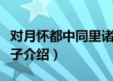 对月怀都中同里诸子（关于对月怀都中同里诸子介绍）