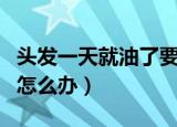 头发一天就油了要天天洗吗（头发一天就油了怎么办）