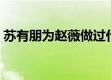 苏有朋为赵薇做过什么（苏有朋为赵薇庆生）
