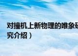 对撞机上新物理的唯象研究（关于对撞机上新物理的唯象研究介绍）