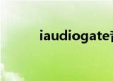 iaudiogate音质好吗（iaudio）