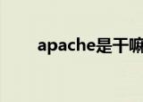 apache是干嘛用的（apachephp）