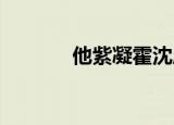 他紫凝霍沈雁的全文是免费的