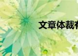 文章体裁有哪些（文章体）