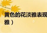 黄色的花淡雅表现母亲什么品质（黄色的花淡雅）