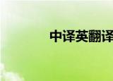 中译英翻译器（中译英翻译）