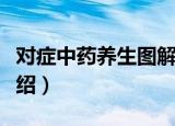 对症中药养生图解（关于对症中药养生图解介绍）