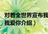 对着全世界宣布我爱你（关于对着全世界宣布我爱你介绍）