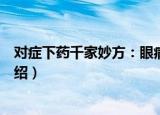 对症下药千家妙方：眼病（关于对症下药千家妙方：眼病介绍）