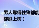 男人靠得住猪都能上树的说说（男人靠得住猪都能上树）