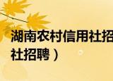 湖南农村信用社招聘报名入口（湖南农村信用社招聘）