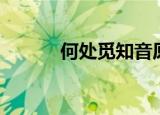何处觅知音原唱（何处可采薇）