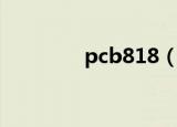 pcb818（pcb818人才网）
