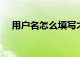 用户名怎么填写才正确（用户名怎么写）