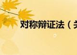 对称辩证法（关于对称辩证法介绍）