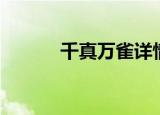 千真万雀详情介绍（千真万雀）
