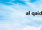 al qaida（al qaida）
