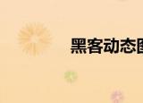 黑客动态图片（黑客动态）