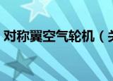 对称翼空气轮机（关于对称翼空气轮机介绍）