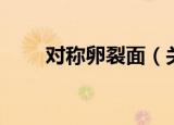 对称卵裂面（关于对称卵裂面介绍）