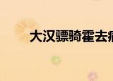 大汉骠骑霍去病电视剧（大汉骠骑）