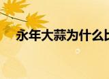 永年大蒜为什么比山东蒜贵（永年大蒜）