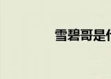 雪碧哥是什么梗（雪碧哥）
