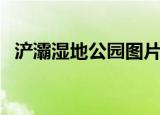 浐灞湿地公园图片（浐灞湿地公园怎么走）