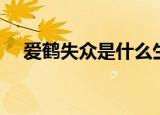 爱鹤失众是什么生肖（爱鹤失众的意思）