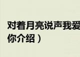 对着月亮说声我爱你（关于对着月亮说声我爱你介绍）