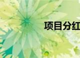 项目分红（项目分析师）