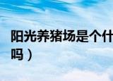 阳光养猪场是个什么软件（阳光养猪场是真的吗）
