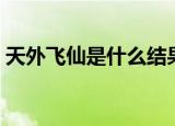 天外飞仙是什么结果（天外飞仙是什么生肖）