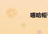 嘻哈帽子（xihama）