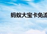 蚂蚁大宝卡免流多少g（蚂蚁大宝卡）