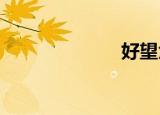 好望角交易平台